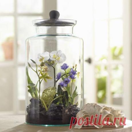 Не держите дома этот цветок! 1 важная причина.   Кажется, все или почти все женщины обожают орхидеи. Красивые цветы, ч