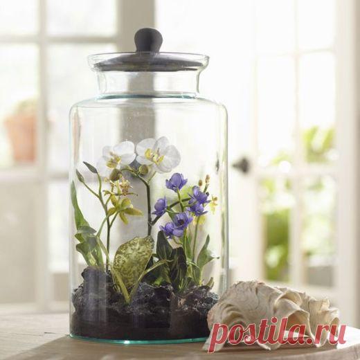 Не держите дома этот цветок! 1 важная причина.   Кажется, все или почти все женщины обожают орхидеи. Красивые цветы, ч