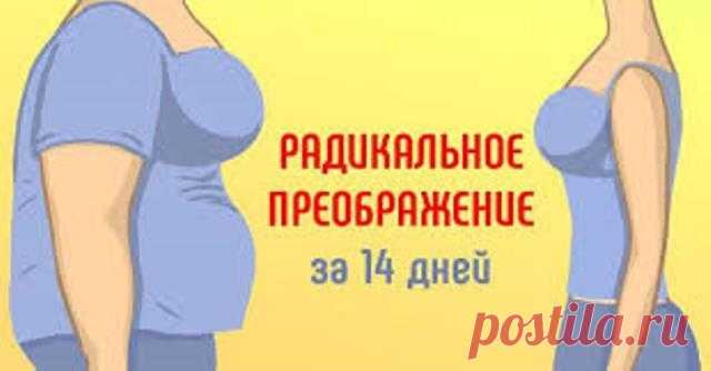 Весишь больше 70 кг — худей по известному экспресс-методу. Стань стройнее и почувствуй себя моложе! - Образованная Сова Радикальная диета Похудение на 20 кг кажется нам чем-то совершенно нереальным. По крайней мере, не за 2 недели. Что же это, одну воду пить? Не совсем. Можно еще поесть, но совсем немного. Представляем вашему вниманию самую радикальную диету из существующих. Ее продолжительность — 2 недели. И если вам кажется, что это «всего» 14 дней, поверьте, …