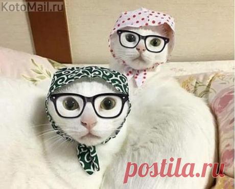 Авдотья Никитична и Вероника Маврикиевна