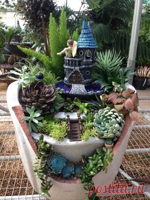 JARDINES MINIATURA hechos de macetas rotas; vas a querer uno
