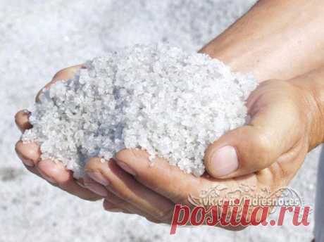 ЛЕЧИТ НАСМОРК И БРОНХИТ, ЛАРИНГИТ И ТОНЗИЛЛИТ | Женский журнал