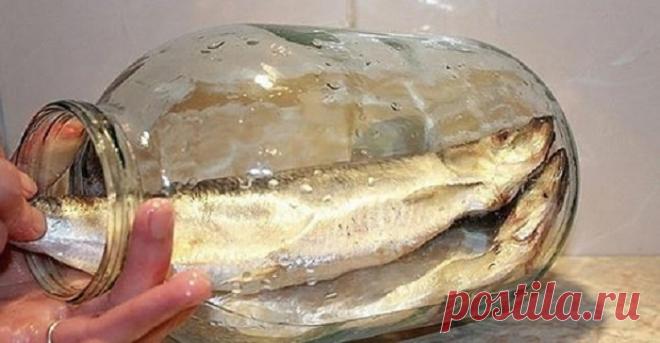 Больше не покупаю магазинную соленую селедку. Этот рецепт засолки селедки самый вкусный Буквально вчера соседка у меня спросила: «А ты не знаешь, как засолить...