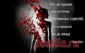 20 цитат психолога Карла Юнга, которые помогут лучше понять себя
Карла Густава Юнга можно назвать позитивным психологом и философом. В любом неврозе или депрессии он видел импульс для расширения сознания.
20 цитат Юнга, которые помогут понять и принять себя такими, какие мы есть.
1.Не удерживай того, кто уходит от тебя. Иначе не придет тот, кто идет к тебе.
2.Дети учатся на примере взрослого, а не на его словах.
3.Если вы одаренный человек, это не значит, что вы что-то получили. Это значит, что