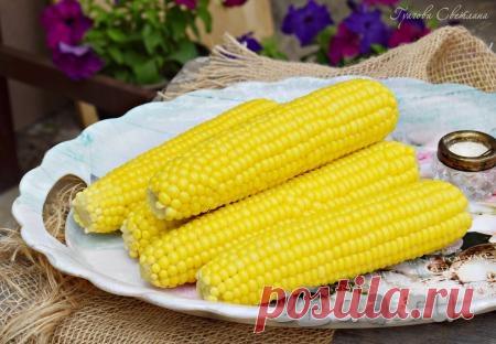 Как сварить молодую кукурузу в кастрюле - пошаговый фоторецепт