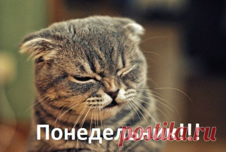 ...день тяжёлый!