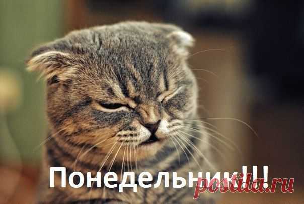 ...день тяжёлый!