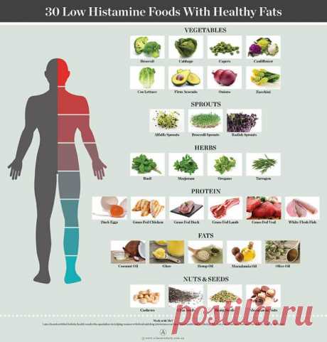 Продукты питания и другие стимулы для повышения гистамина / Будьте здоровы