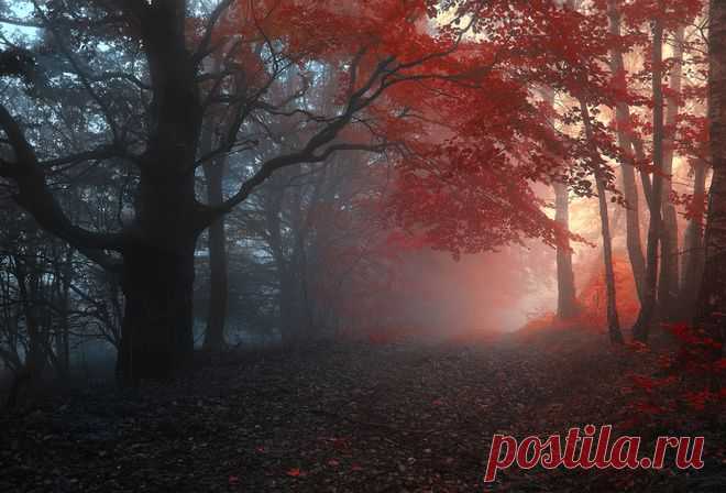 Расстелилась багрянцем, 
Рассыпалась дождиком осень. 
Растворилась в тумане 
Набухшая мокрая даль.