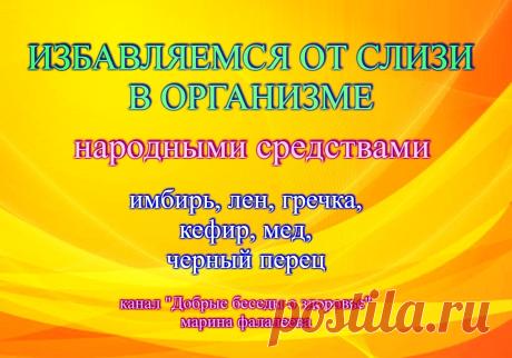 ИЗБАВЛЯЕМСЯ ОТ СЛИЗИ В ОРГАНИЗМЕ - для вас доступные и эффективные средства и методы народной медицины. По мере того как мы растем, слизь накапливается и заполняет все полости нашего тела. А самым «любимым» местом скопления для слизи являются: легкие, бронхи и желудок. Когда слизи собирается слишком много, она начинает подниматься выше и выходит через нос. Организм от слизи желательно очищать раз в шесть месяцев —  два раза в год, так как накопление токсинов может вызывать различные заболевания