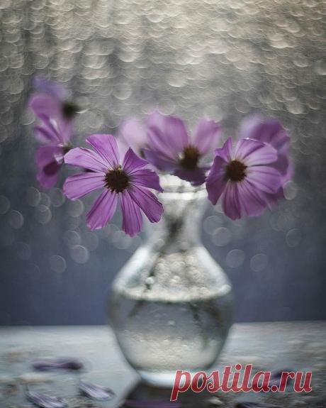 Мира в Сердце...😇
...Любой мир ничего не стоит, если нет 
Мира в Сердце...Такое короткое слово&quot;МИР&quot;, но такое значимое... Без мира в сердце жизнь пуста.

~ Забыв на миг про суету, 
в Душевный храм откройте дверцу..
Умейте слушать тишину.. 
Умейте слышать своё Сердце..

~ Мы просим у судьбы полегче доли,
Молитву шепчем Богу, чуть дыша..
Но так устроен мир, что только в боли
Растёт и развивается Душа..