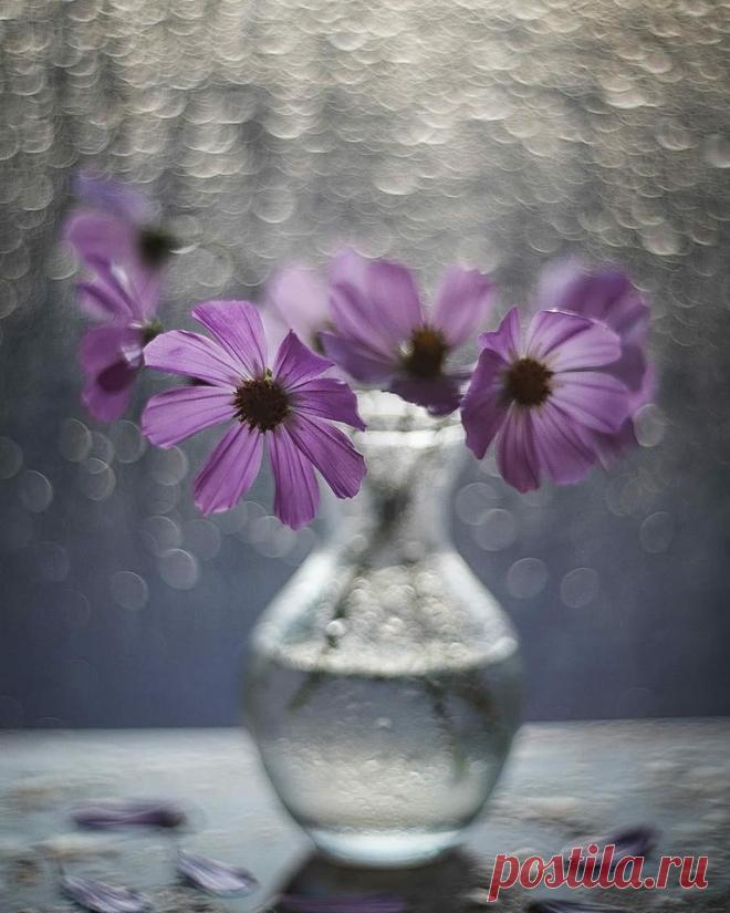 Мира в Сердце...😇
...Любой мир ничего не стоит, если нет 
Мира в Сердце...Такое короткое слово"МИР", но такое значимое... Без мира в сердце жизнь пуста.

~ Забыв на миг про суету, 
в Душевный храм откройте дверцу..
Умейте слушать тишину.. 
Умейте слышать своё Сердце..

~ Мы просим у судьбы полегче доли,
Молитву шепчем Богу, чуть дыша..
Но так устроен мир, что только в боли
Растёт и развивается Душа..