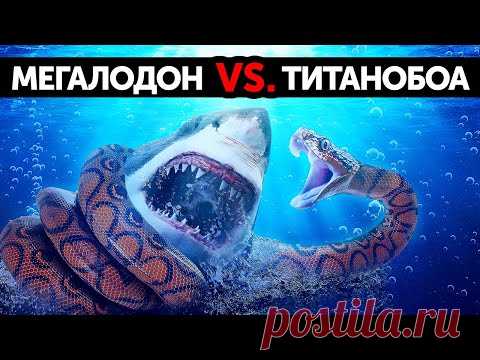 Что, если мегалодон сразился бы с самой большой в мире змеей