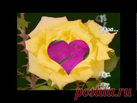 Поздравление с 8 Марта - Видео открытка.