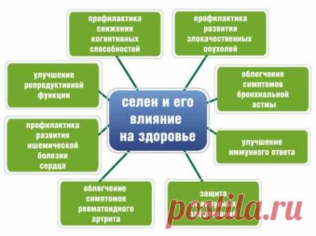 Для чего нужен селен в организме человека?