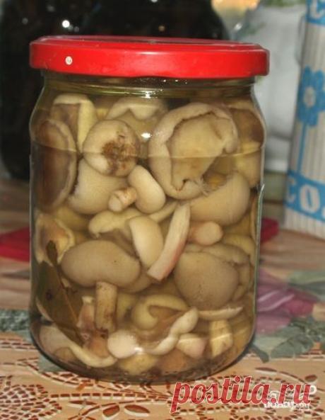 Маслята маринованные - пошаговый кулинарный рецепт на Повар.ру