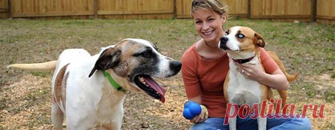 Дрессировка собаки: основные правила