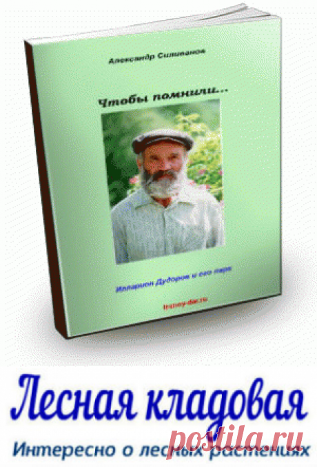 Деревья и кустарники