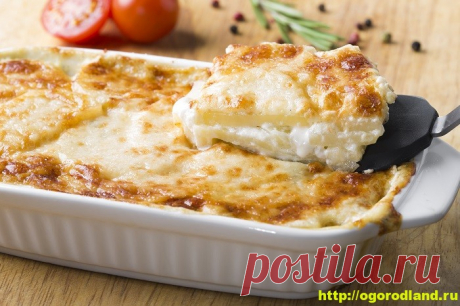 Вторые блюда с творогом. Подборка вкусных рецептов