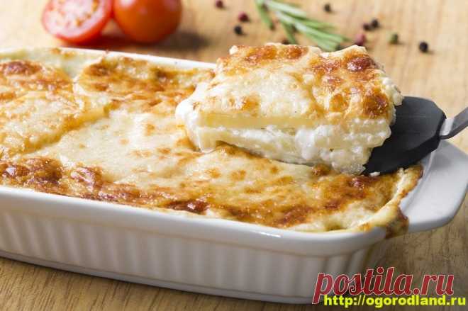 Вторые блюда с творогом. Подборка вкусных рецептов