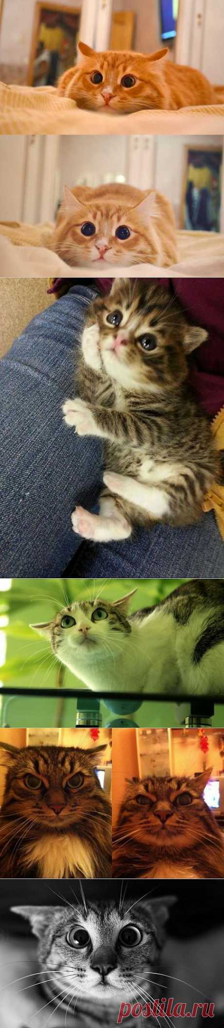 Строим глазки  !!!