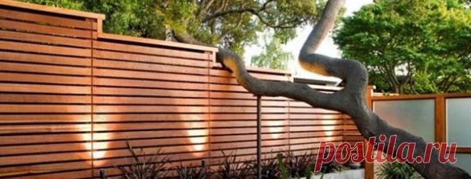 Красивые деревянный забор своими руками: устройство заборов из дерева