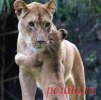 Мой Мир@Mail.Ru