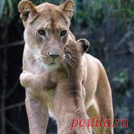 Мой Мир@Mail.Ru