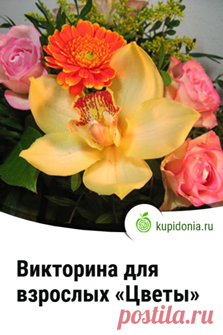 Викторина для взрослых «Цветы». Интересная викторина о цветах для взрослой аудитории. Проверьте свои знания!