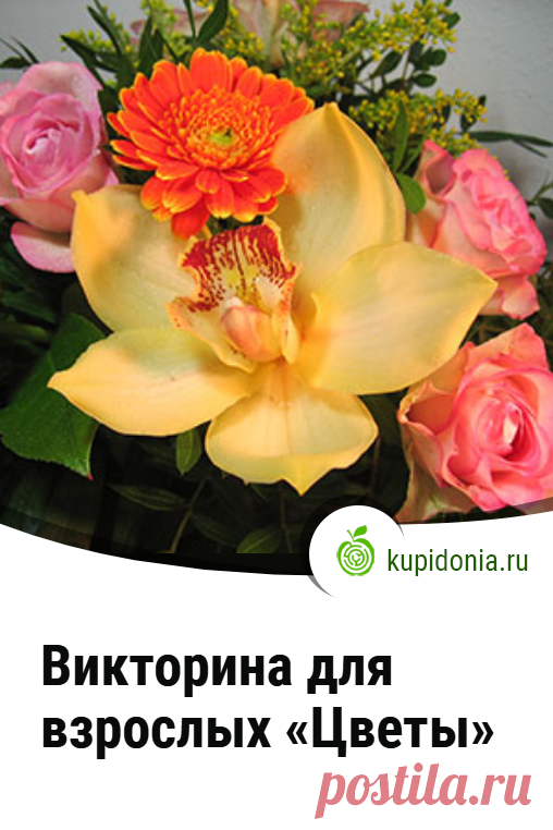 Викторина для взрослых «Цветы». Интересная викторина о цветах для взрослой аудитории. Проверьте свои знания!