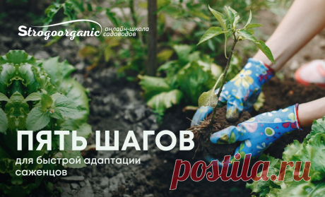 Почта Mail.ru