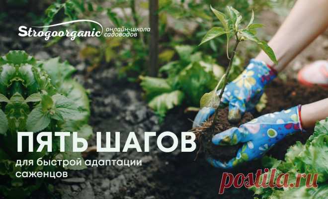 Почта Mail.ru