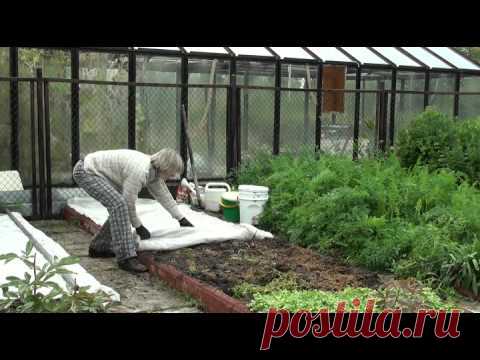 "Восстановление плодородия почвы осенью" Часть№3 — Яндекс.Видео
