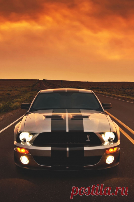 (99+) Tumblr