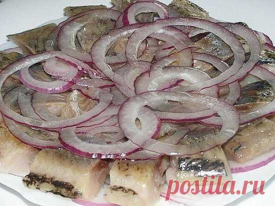 ОЧЕНЬ ВКУСНАЯ СЛАБОСОЛЁНАЯ СЕЛЬДЬ С ГОРЧИЦЕЙ!!!
Обязательно попробуйте ! Сохраняйте !