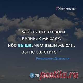 7Вопросов “ Заботьтесь о своих великих мыслях, ибо выше, чем ваши мысли, вы не взлетите. “ © Бенджамин Дизраэли