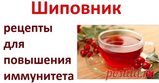 Рецепты для иммунитета с шиповником | Советы целительницы