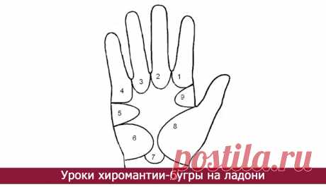 Уроки хиромантии-бугры на ладони - Эзотерика и самопознание