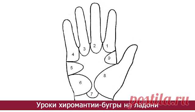 Уроки хиромантии-бугры на ладони - Эзотерика и самопознание
