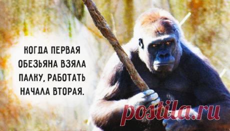 12 советов для повышения продуктивности - Фитнес для мозга