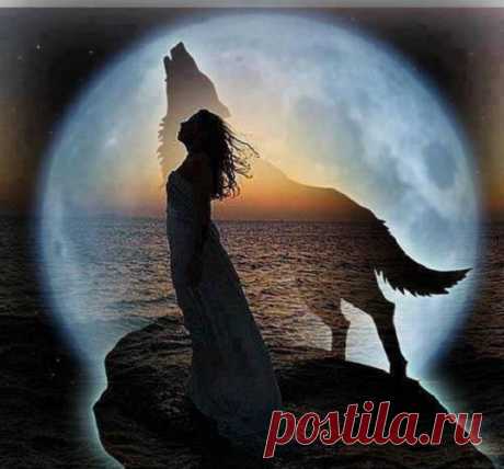 Сияние Розы Жизни - nimfa58@mail.ru - Почта Mail.Ru