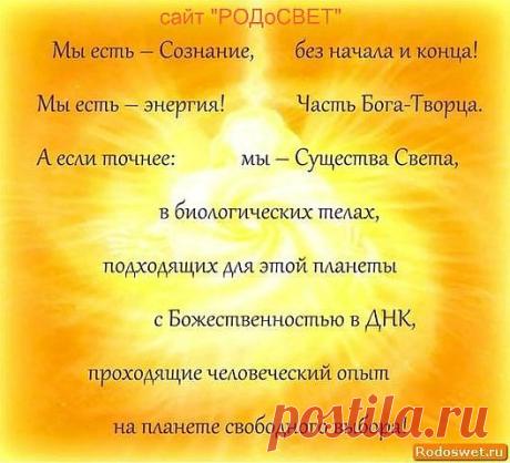 https://www.rodoswet.ru/ "РОДоСВЕТ"