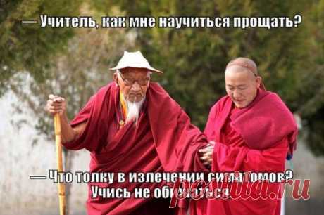 Готовим тибетский бальзам долголетия за 5 минут, который повысит иммунитет, укрепит сосуды.