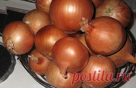 Разбивает почечные камни,выводит песок из почек

В ноябре 2005 года неделю мучаясь дома от почечной колики ( не помогали 
таблетки и уколы), от госпитализации я отказалась. УЗИ показало, что в почках 
камни размером с вишню и песок.
Просматривая рецепты народной медицины, оставшиеся от мамы, работавшей 
врачом-гомеопатом в Московской Кремлевской больнице, ( мама умерла в 
1984 году ), остановилась на одном из эффективных и простых в применении.
 Прошло 1,5 года после прием...