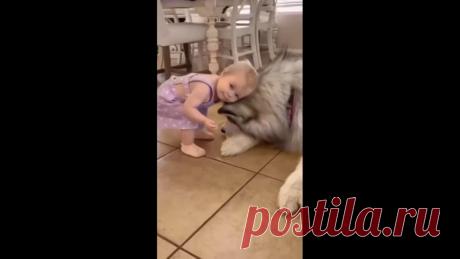 Вот абсолютная любовь