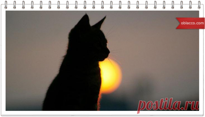 Кошки-статуэтки из бумажных трубочек | oblacco