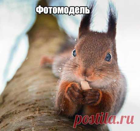 Чёткие приколы