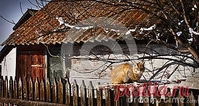 Stock Photos, Royalty-Free Images & Video Footage By Dreamstime Stock Photography