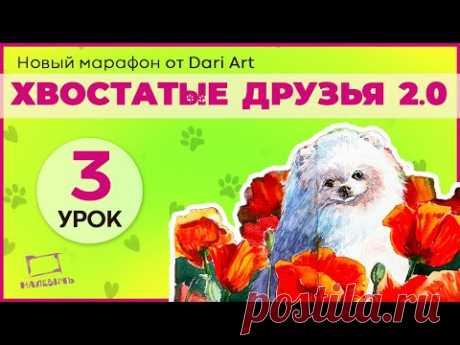 Марафон &quot;Хвостатые друзья 2.0&quot; - урок 3
