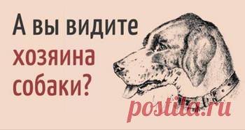 Шуточный тест-картинка «Лягушка богатства»